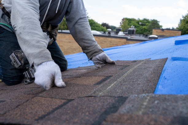 Quick and Trustworthy Emergency Roof Repair Services in Livonia, MI