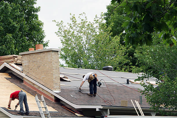 Best New Roof Installation  in Livonia, MI
