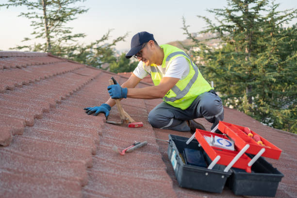 Best Best Roofing Contractors  in Livonia, MI