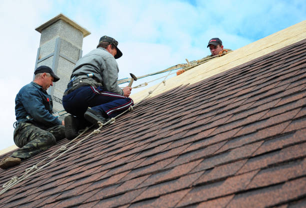 Best Roofing Contractors for Homes  in Livonia, MI