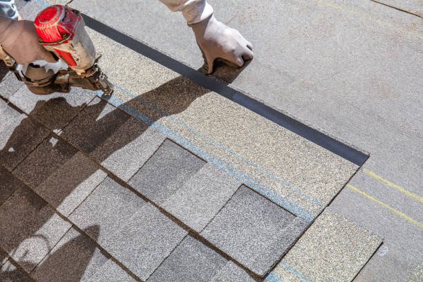 Best Local Roofing Companies  in Livonia, MI