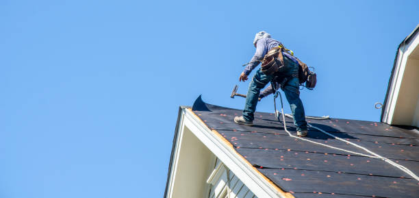 Best Roofing Contractor Near Me  in Livonia, MI